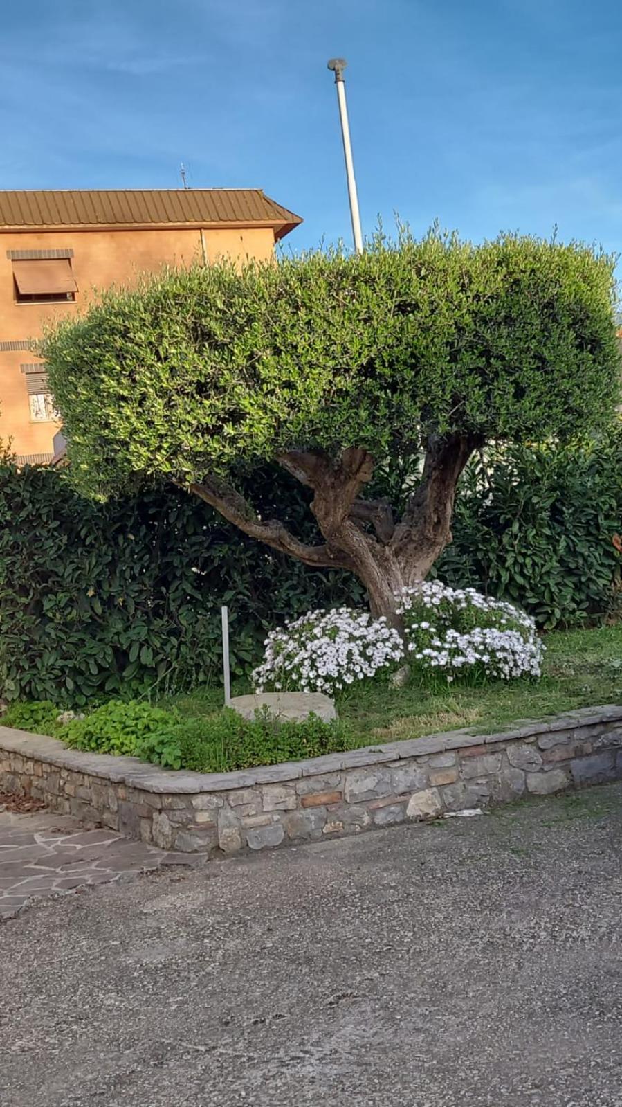 Casetta Delle Fiabe Rom Exterior foto